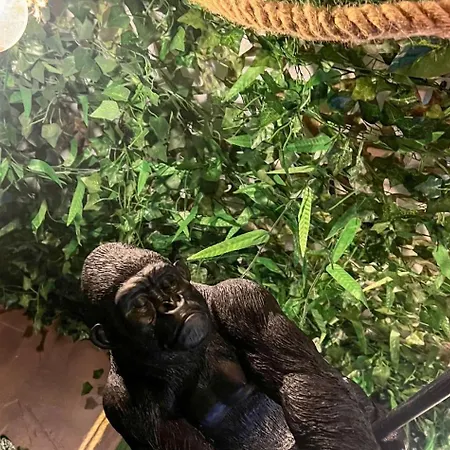 La Taniere De Mowgli - Du Mole