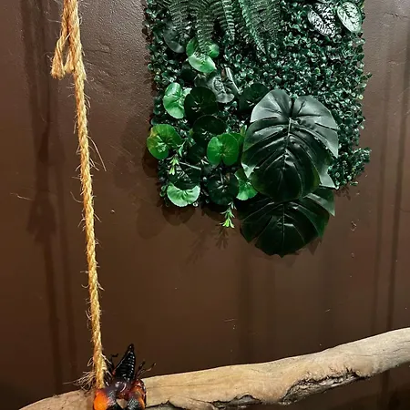 Appartement La Taniere De Mowgli - Du Mole Agde