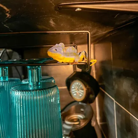 La Taniere De Mowgli - Du Mole Agde