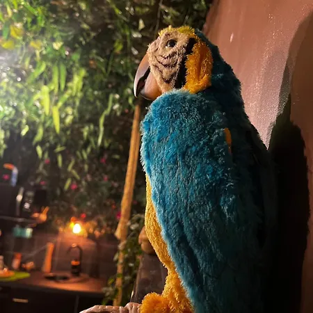 La Taniere De Mowgli - Du Mole شقة *