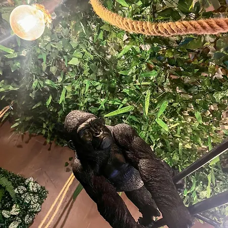 La Taniere De Mowgli - Du Mole Appartement Agde