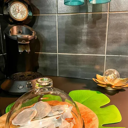 La Taniere De Mowgli - Du Mole 阿格德