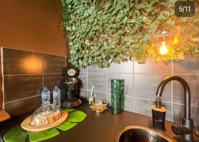 Appartement La Tanière De Mowgli - Du Môle Agde