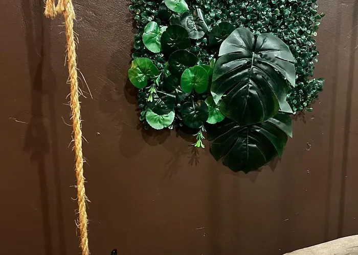 Appartement La Tanière De Mowgli - Du Môle Agde